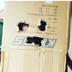Boxed Ostrich