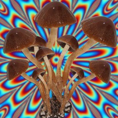 ou