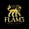 Flam3gsp