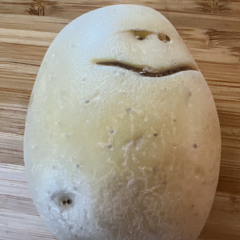 mdante