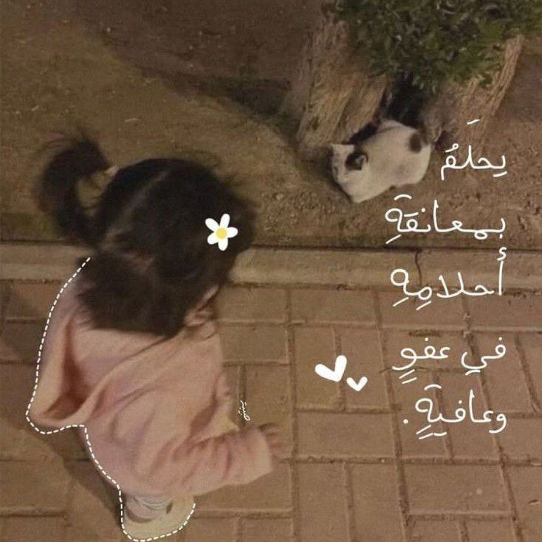 فَرحَـة مُحمَّـد’s avatar
