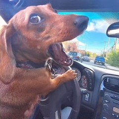 :P