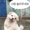 선우콩