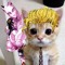 yoshikage gato