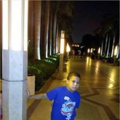 يوسف عبد المقصود