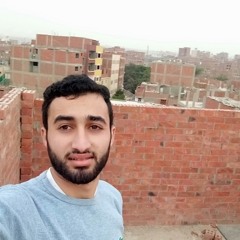Eng/Gamal Ibrahim
