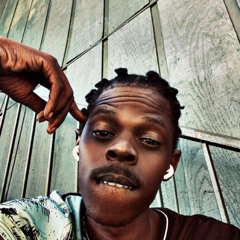 twizziehwy31