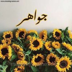 Gawaher Sobhy