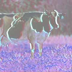 Delvin Moo