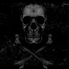 @DJBEEDI NYC MIXER KING