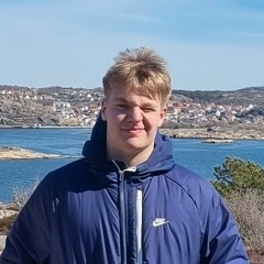 Axel själin
