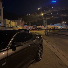 بن ربيع