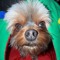 Gavin_romano_18