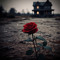 Cuzzy Rose