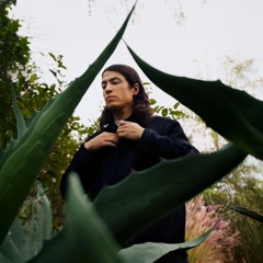 cactus hand