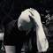 Code / Neda