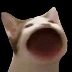 COOLEST CAT EVER!!! AMAZING CAT!!!! HE CHNKING!!!!