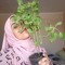 SOHILA