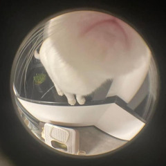 txnxm_q