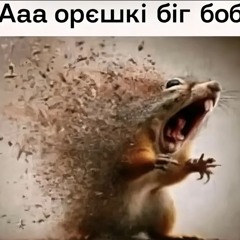 Haikini