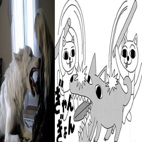 kittyhop()based1903.version