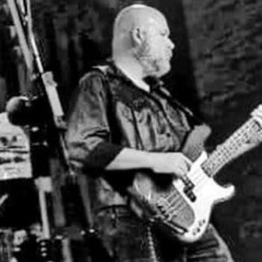 Scot Vessell, Bassist