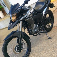 grauzeiro244