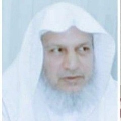 Mohamed Abohseen