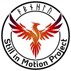 Still in Motion Project