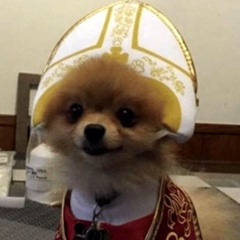 pope doggo