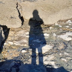 petit.saule.pleureur