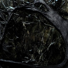 ⁶omın⁶ouS⁶@shıxıxıx