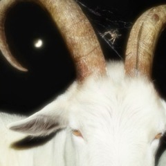 Itz.Mars
