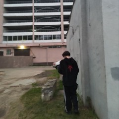 santex1z