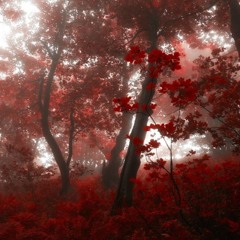 weheartit.com