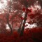 weheartit.com