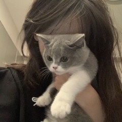 MYAO