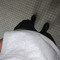 ISSAC _404