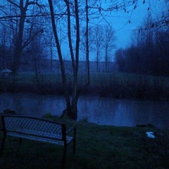 maybe life is not for me