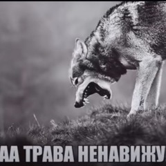 еблан.mp4