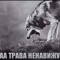 еблан.mp4