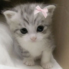 ♡