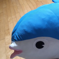 전설의SSR대왕참치