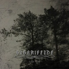 Signalfeide