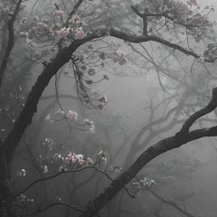 silenthill
