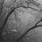 silenthill