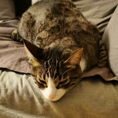 Oscar