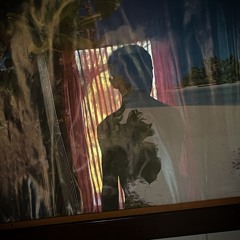 hermit