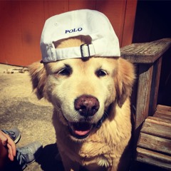 Russai
