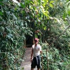 Lâm Ngọc Long